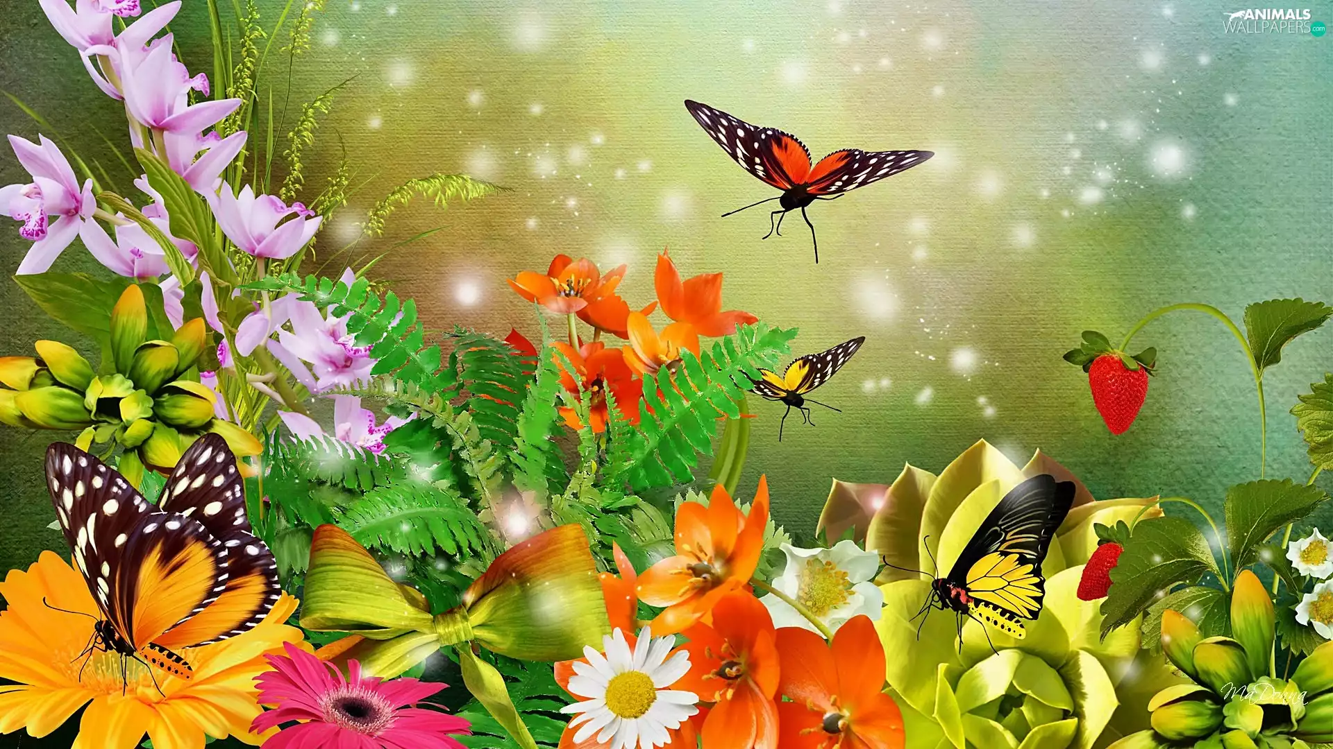 color, butterflies, Art, Flowers