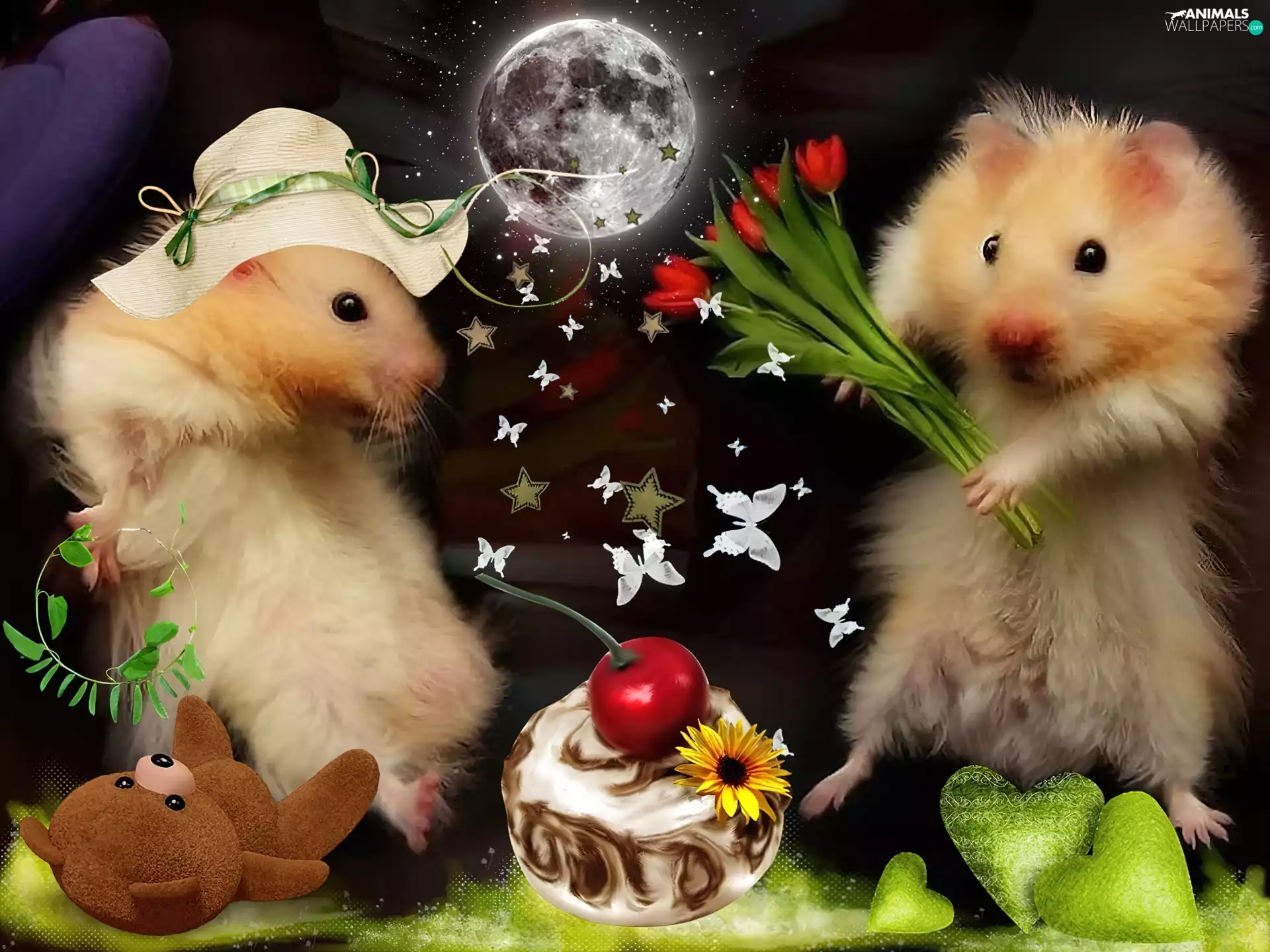 Flowers, Hamsters, couple
