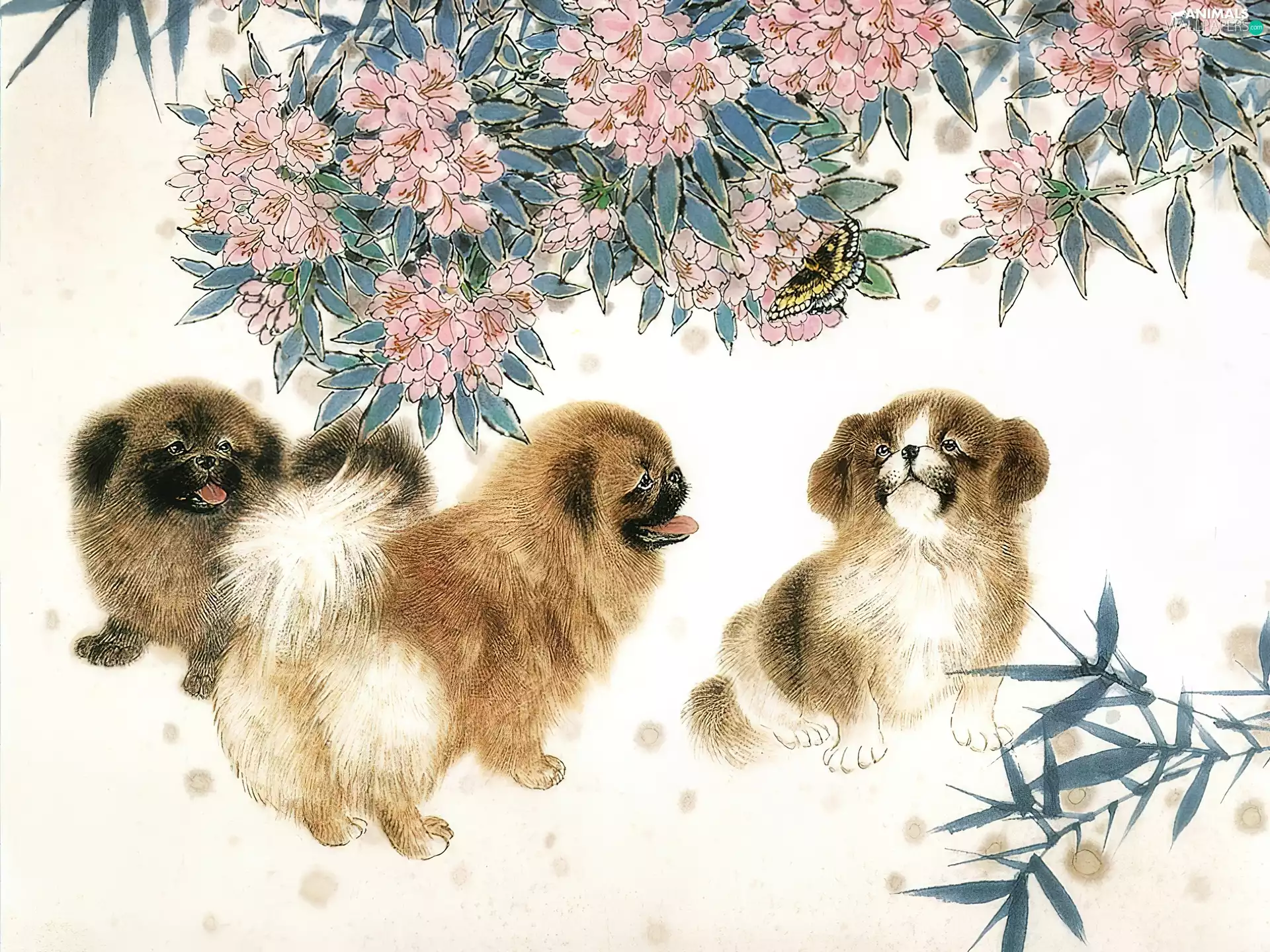 Flowers, Three, Dogs
