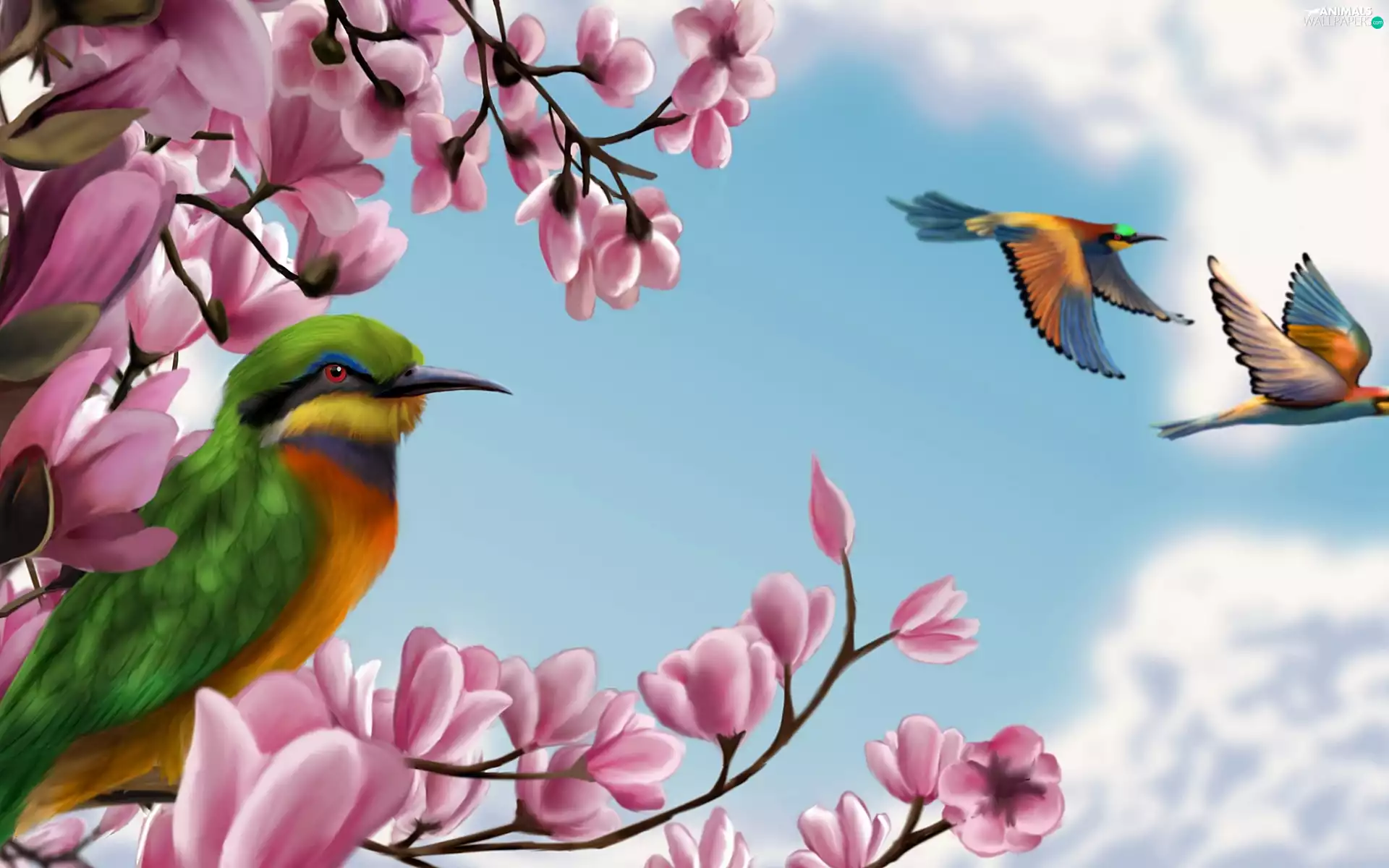 Pink, color, birds, Flowers