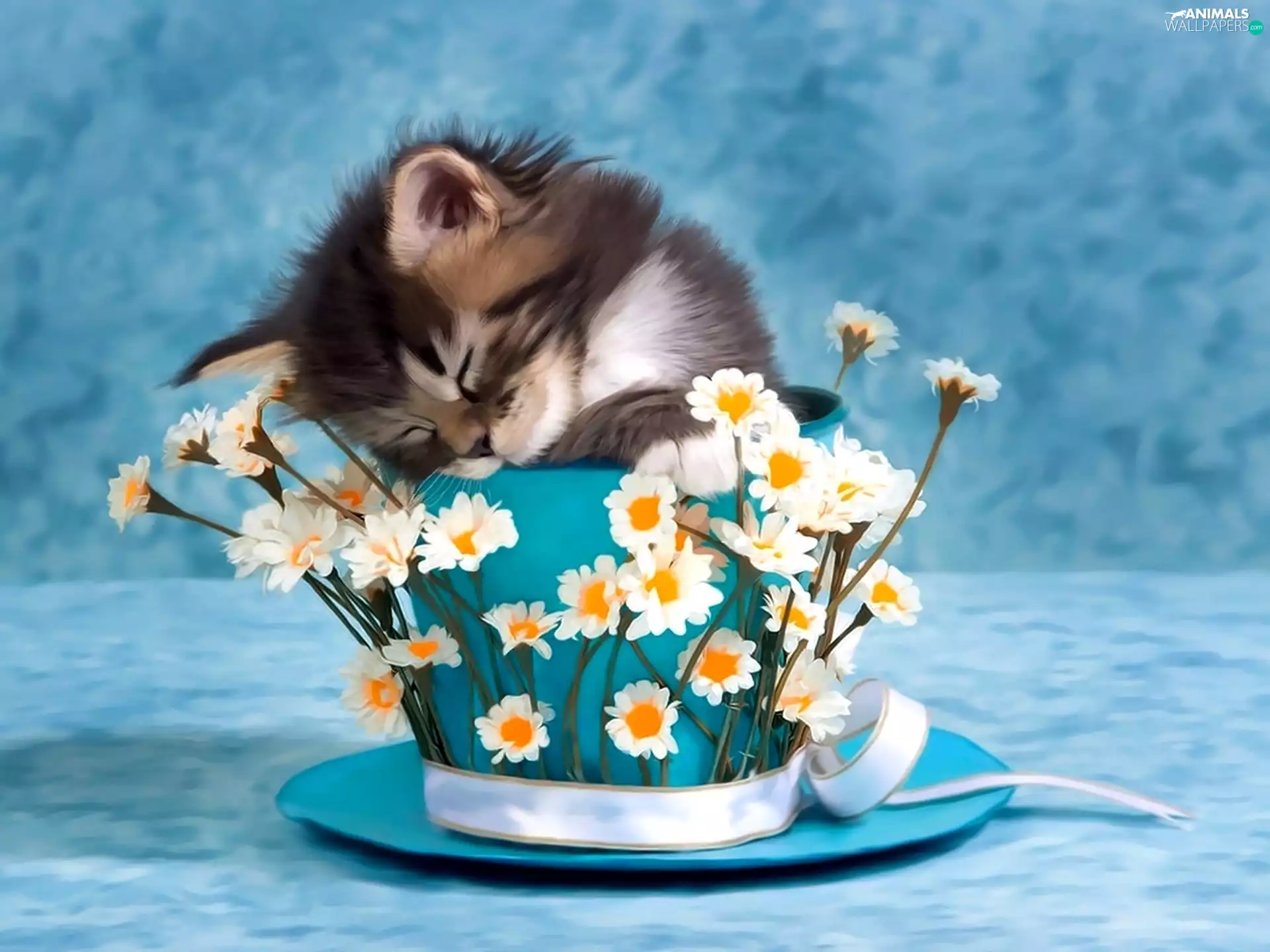 pot, Flowers, sleepy, kitten, small