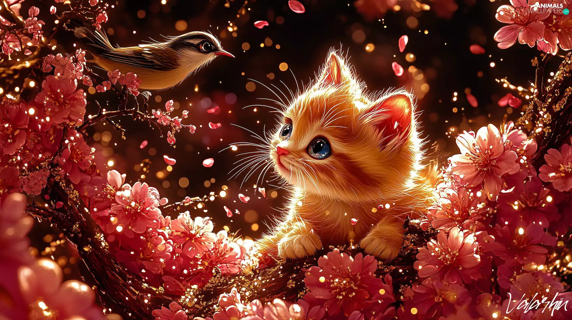 Bird, Flowers, small, cat, graphics