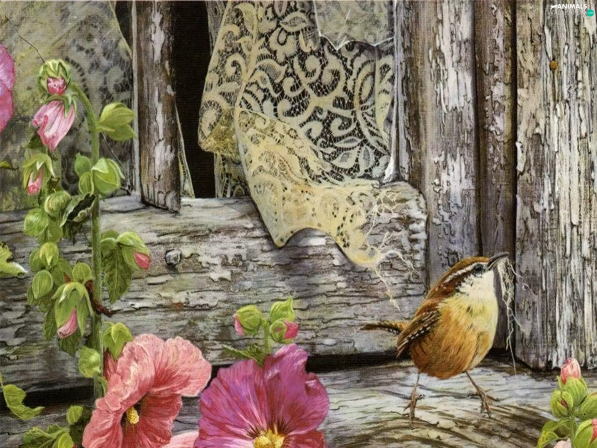 Flowers, Window, sparrow