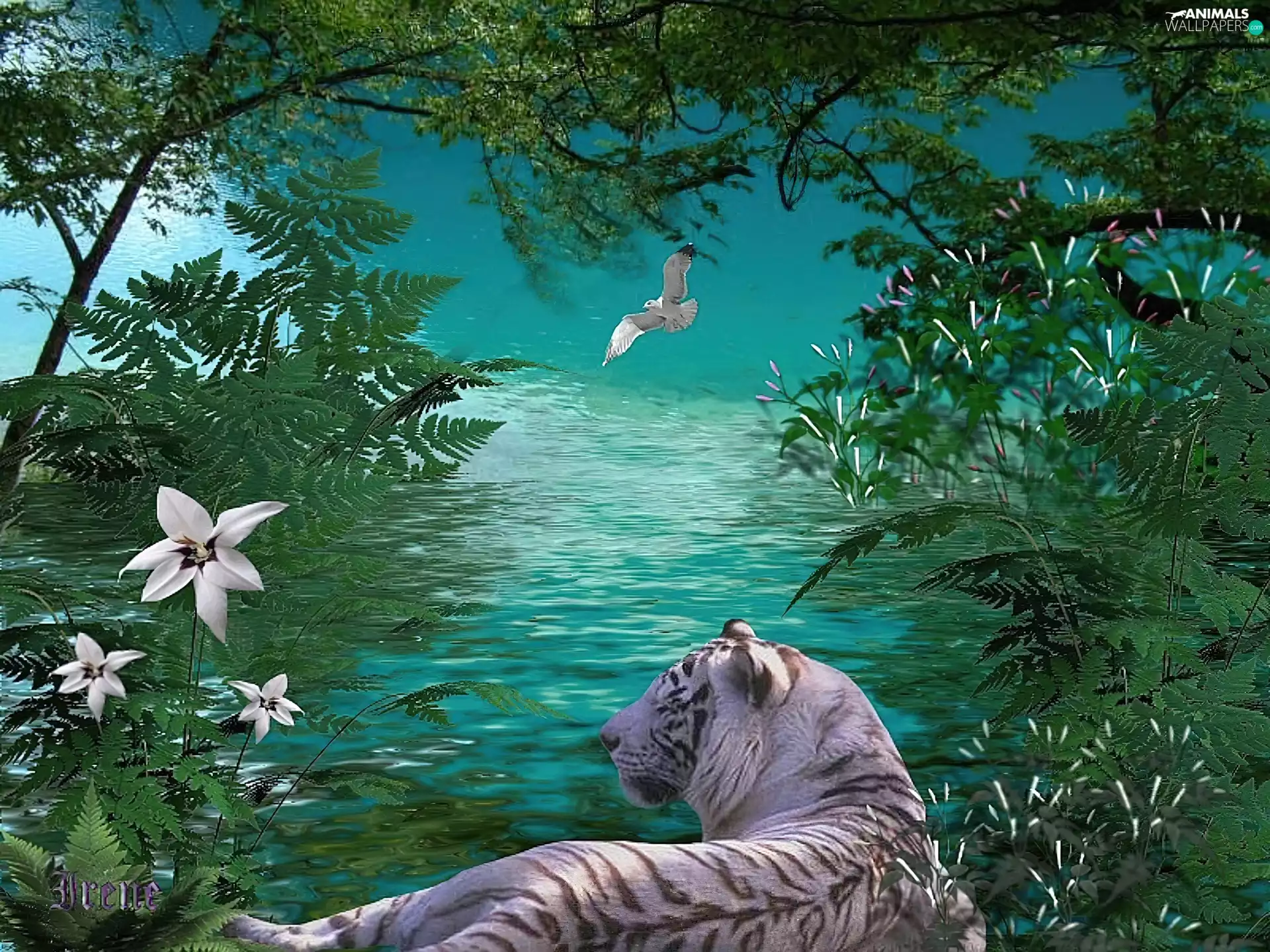 water, White, viewes, Flowers, trees, tiger