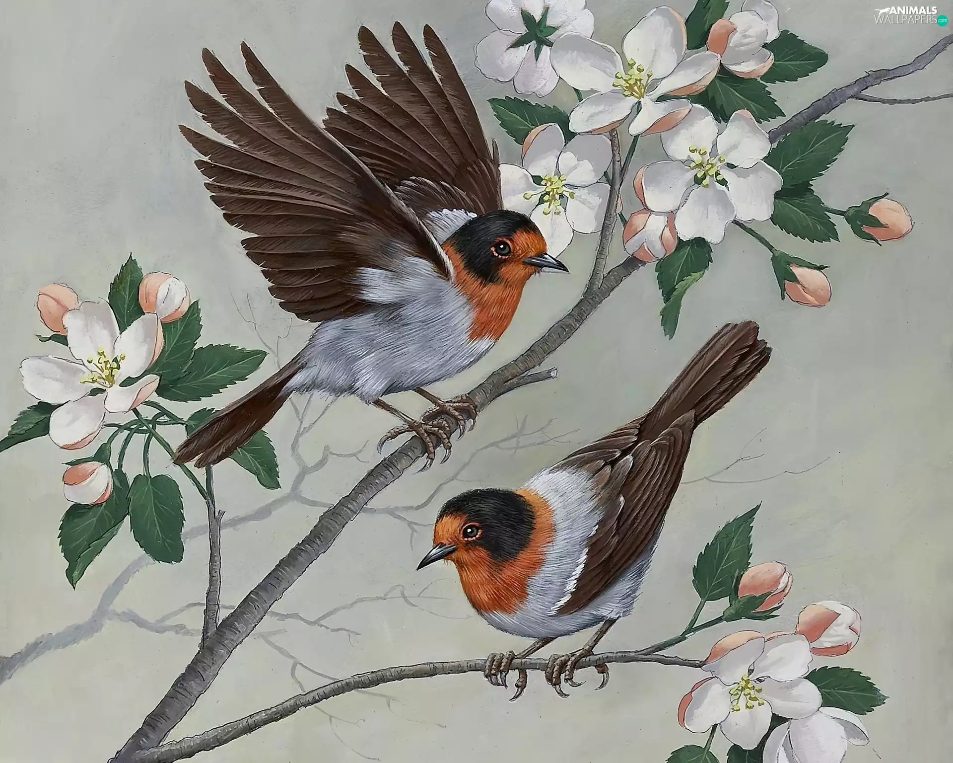 Flowers, birds, twig