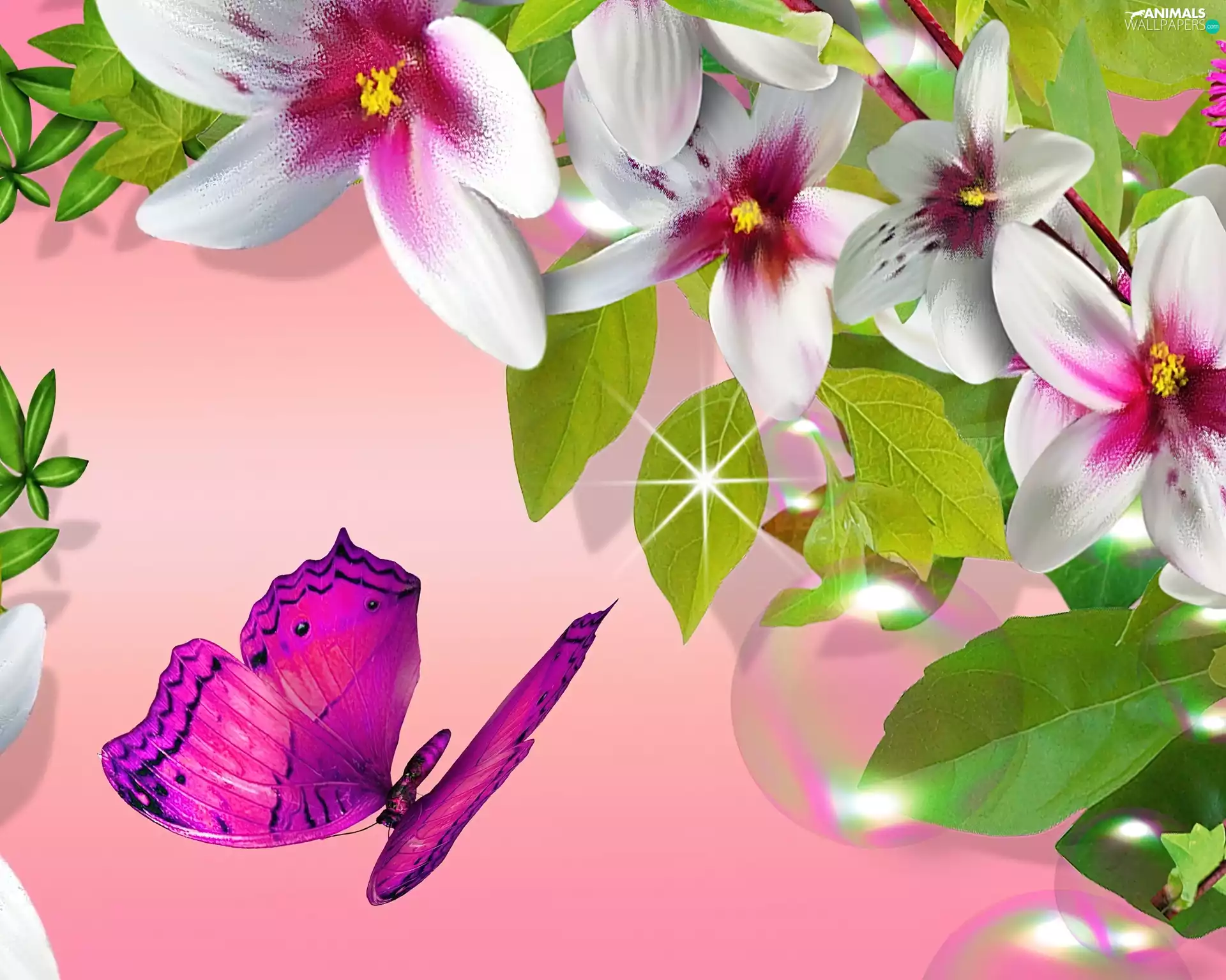 White, butterfly, Art, Flowers