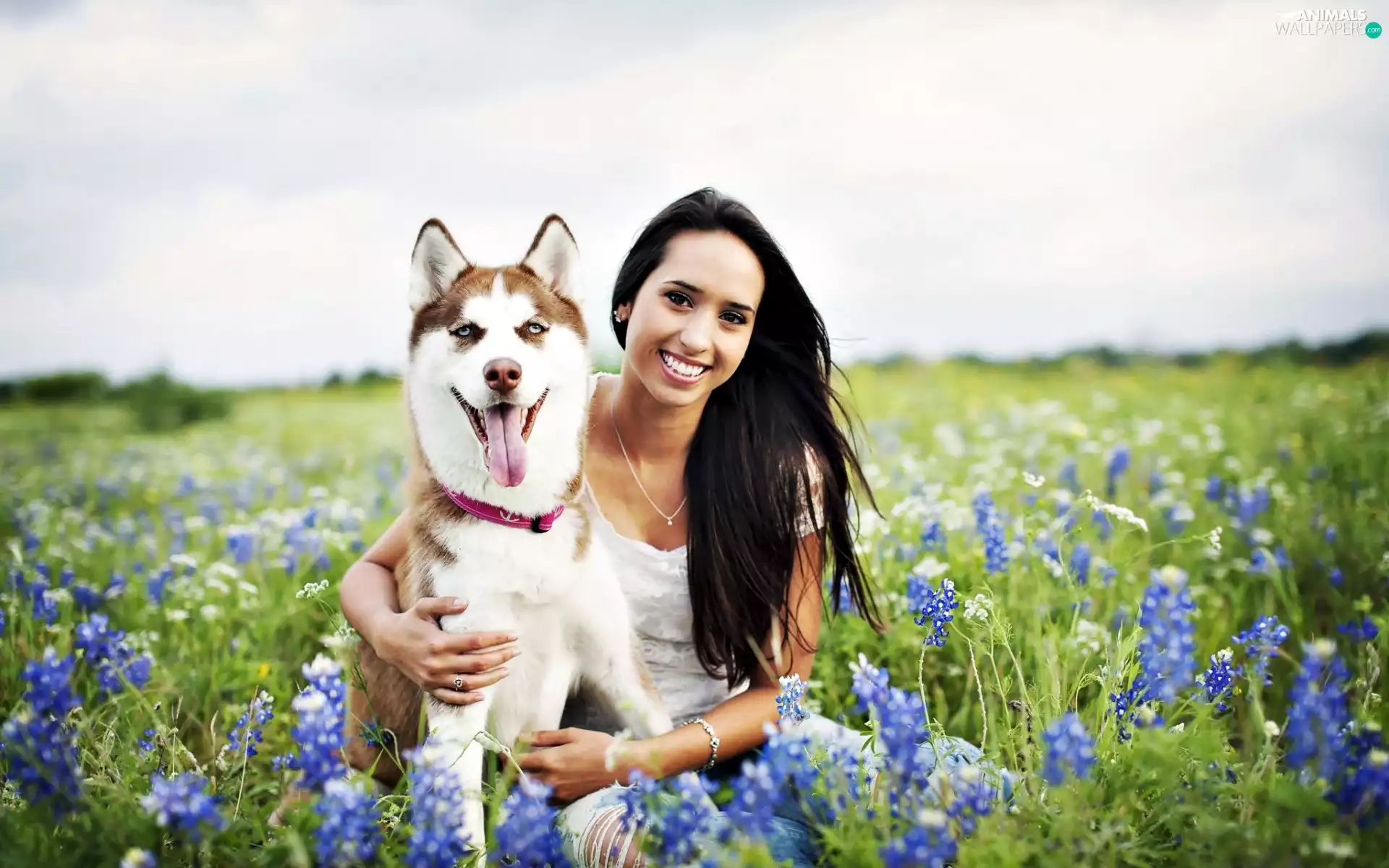 Siberian Husky, Women, Flowers, Muscari, Blue, dog