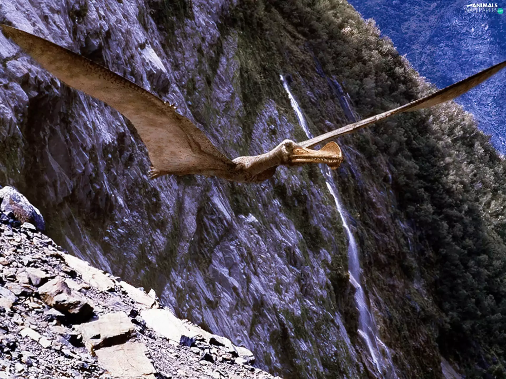 flying, pterosaur