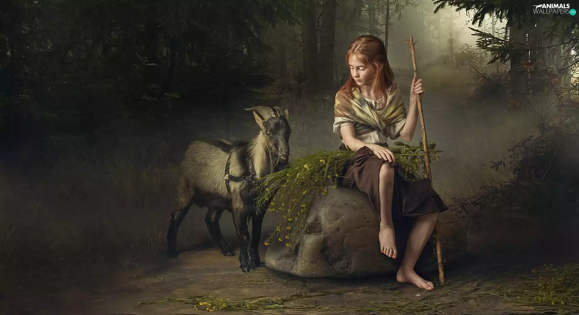 forest, girl, Flowers, Fog, Stone, goat