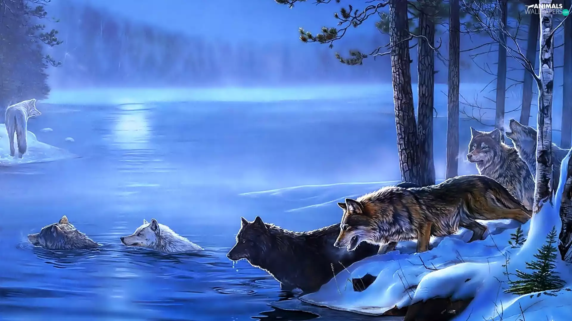 snow, herd, River, Fog, forest, wolves