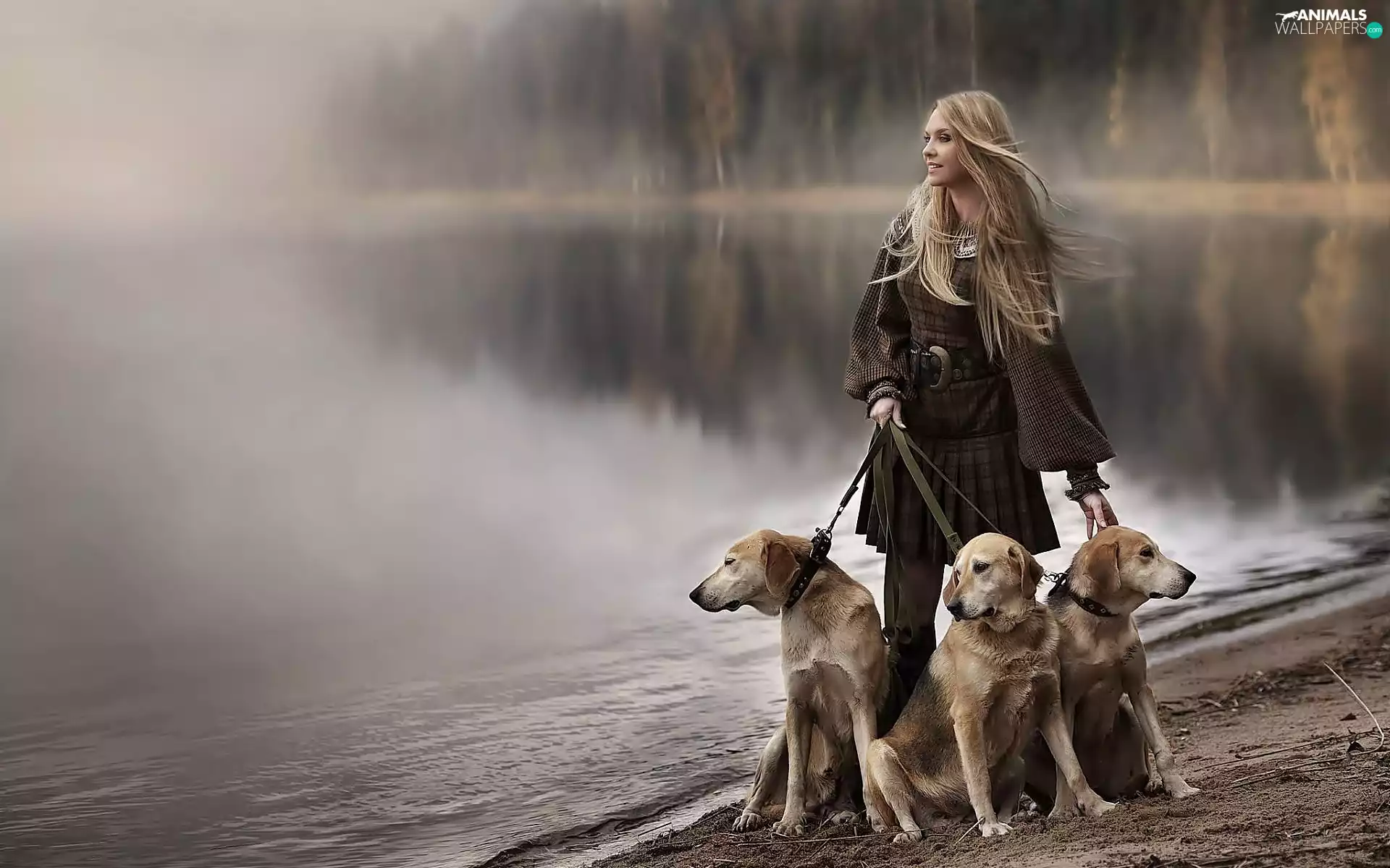 River, forest, Blonde, Dogs, Women