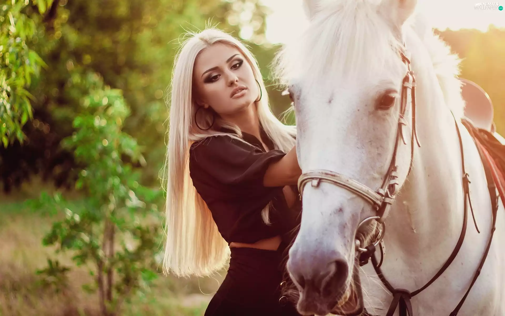 Way, forest, Blonde, Horse, Women