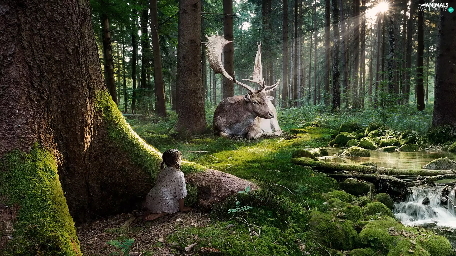 deer, girl, graphics, forest