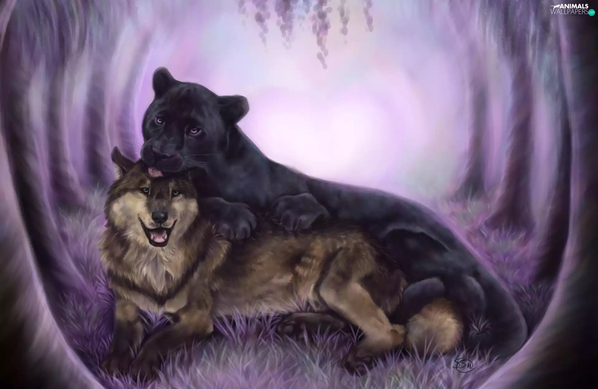 forest, Wolf, Panther