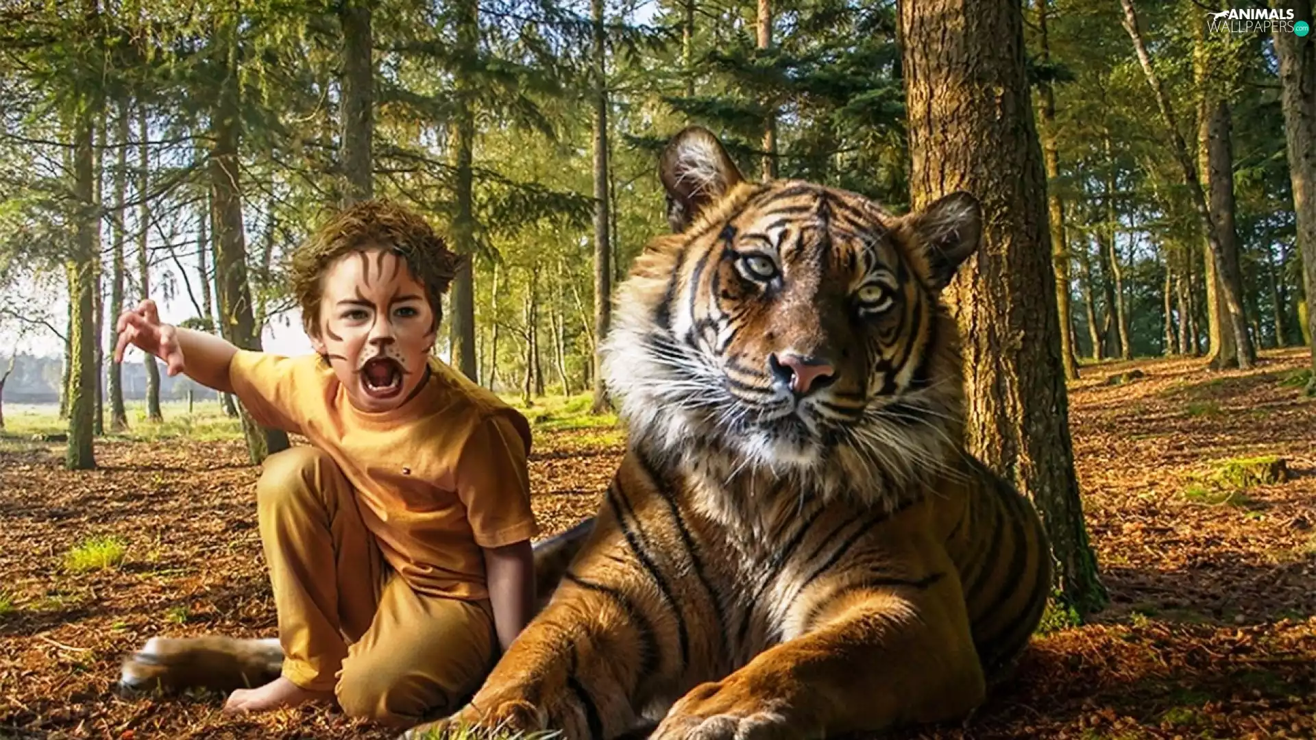 forest, boy, tiger