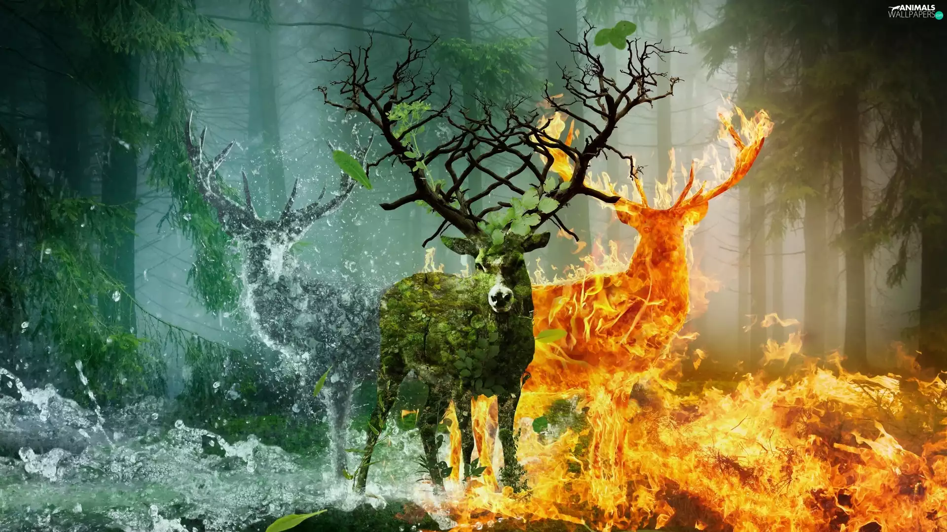 Deer, graphics, water, forest, Big Fire, fantasy