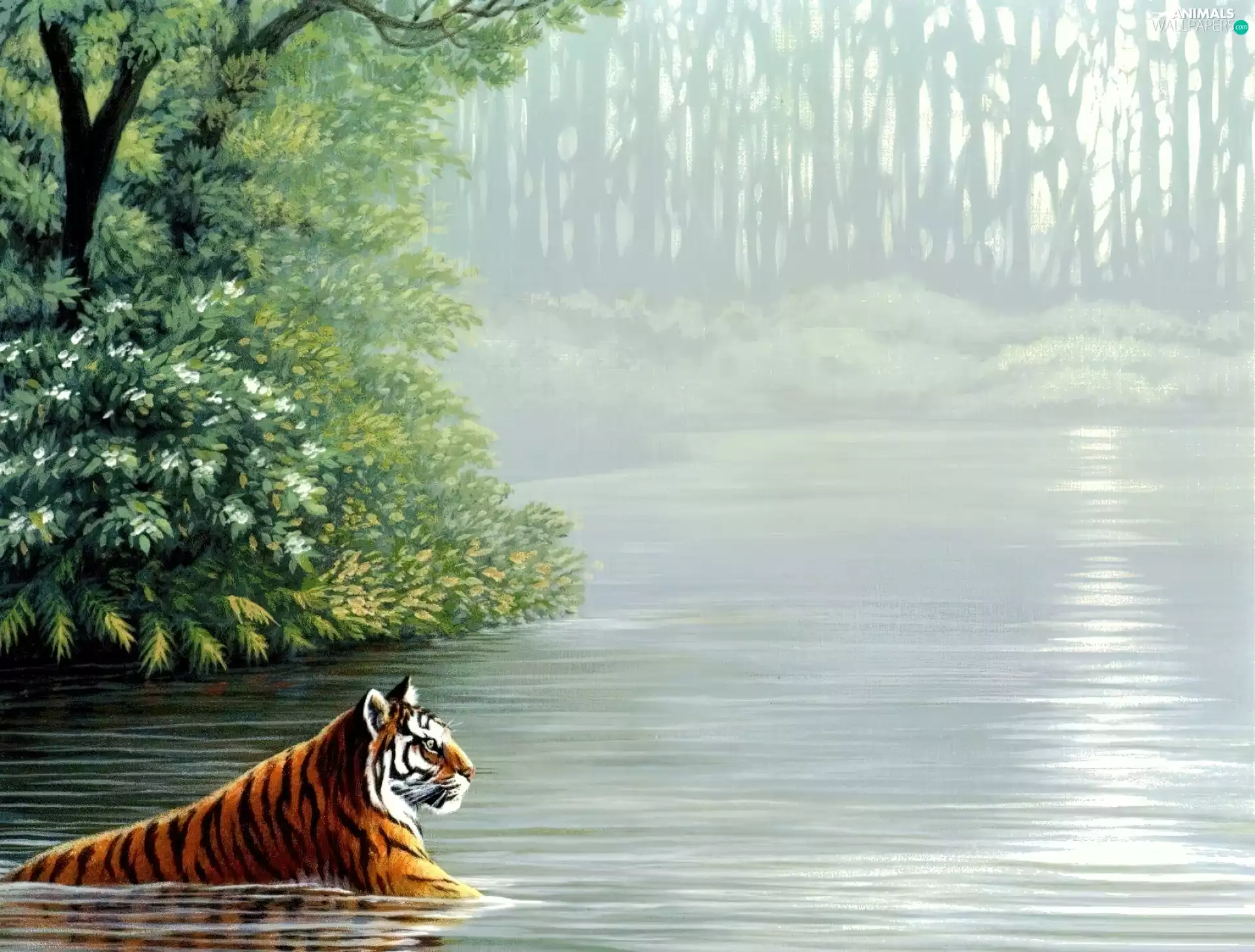 forest, tiger, water