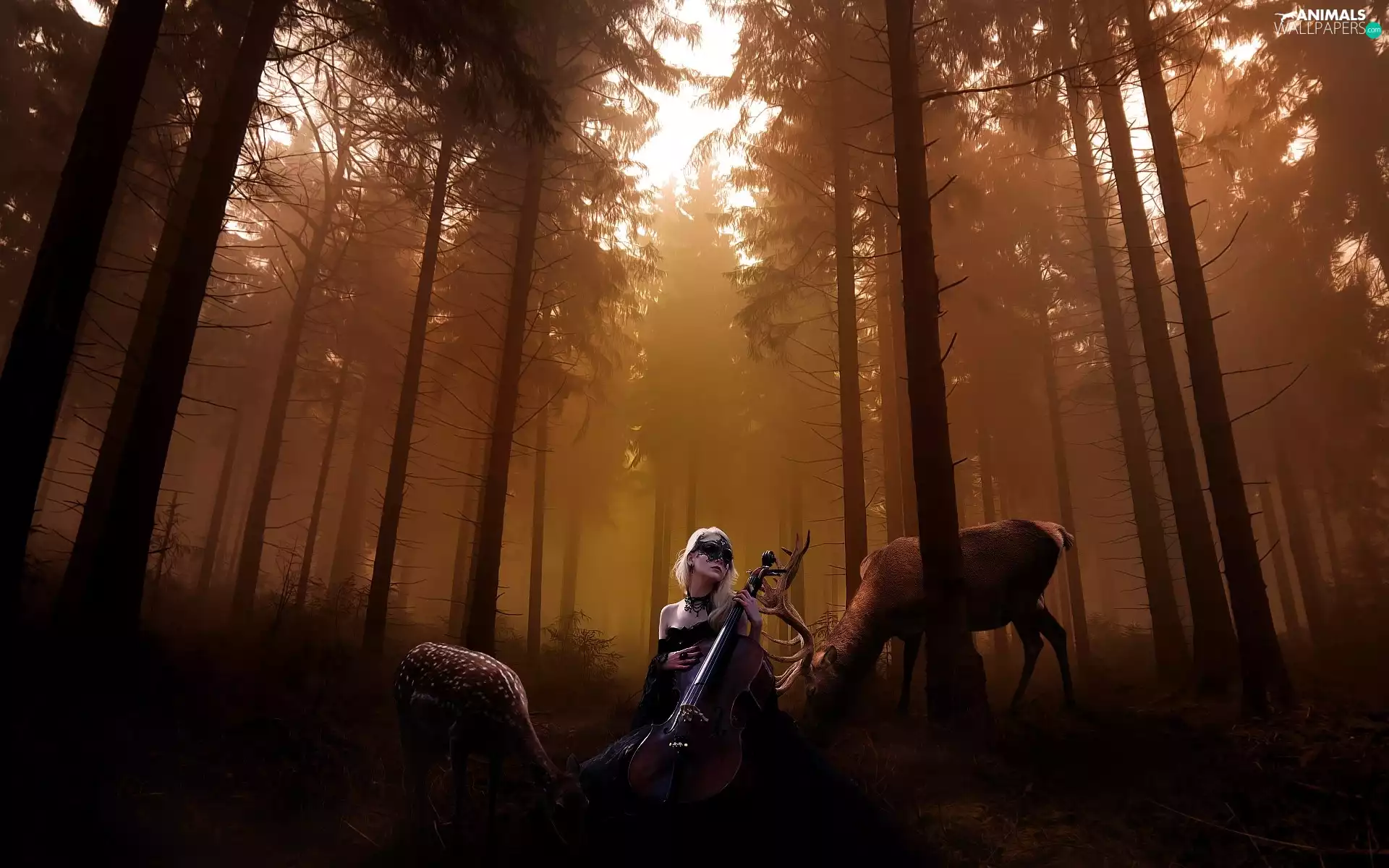 Women, deer, roe, forest