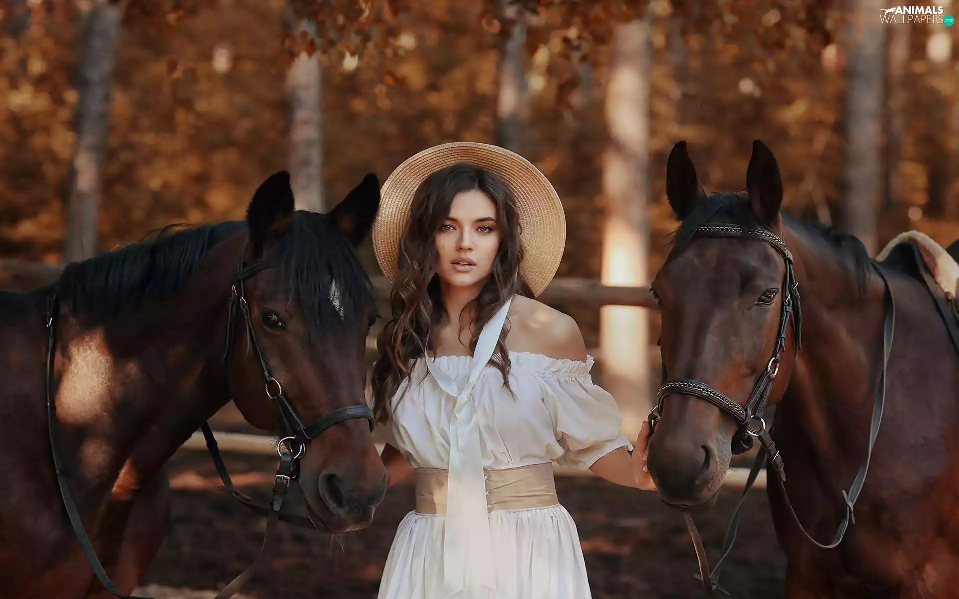 Hat, bloodstock, viewes, forest, trees, Women