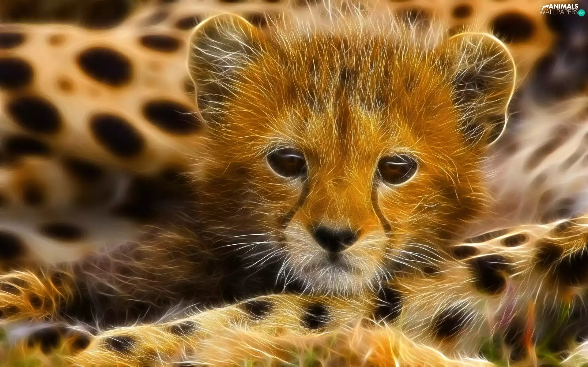 Fractalius, small, Cheetah