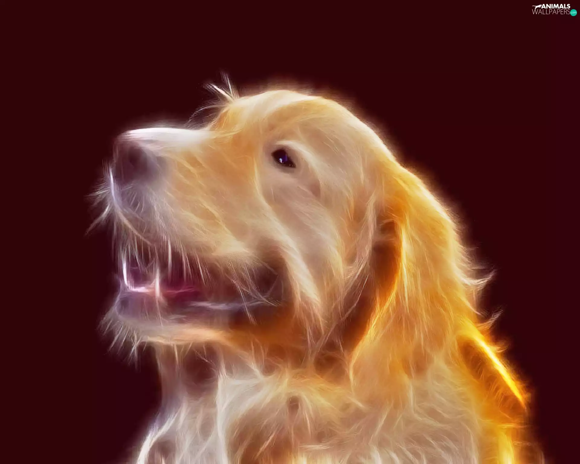 Fractalius, Yellow, dog