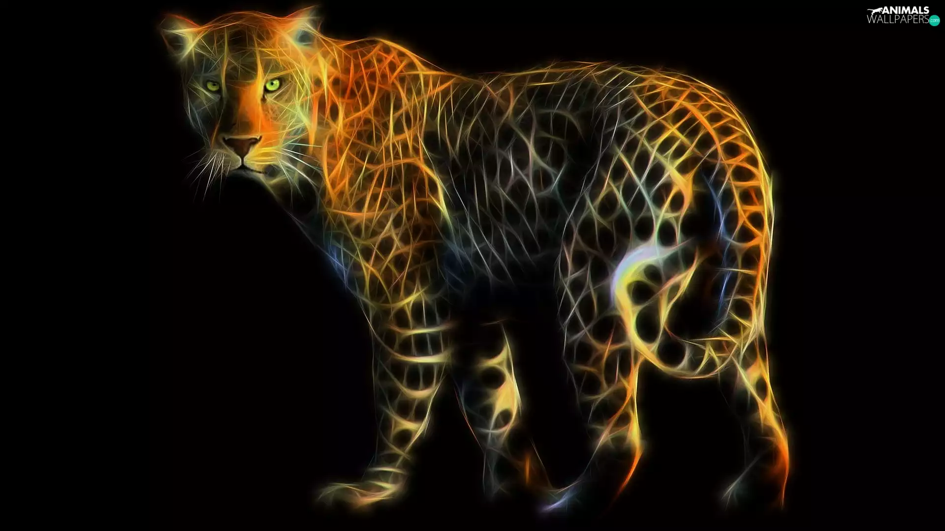 Fractalius, Leopards, graphics