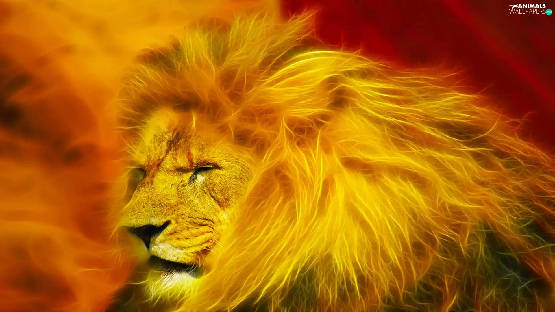 Fractalius, Lion, mane