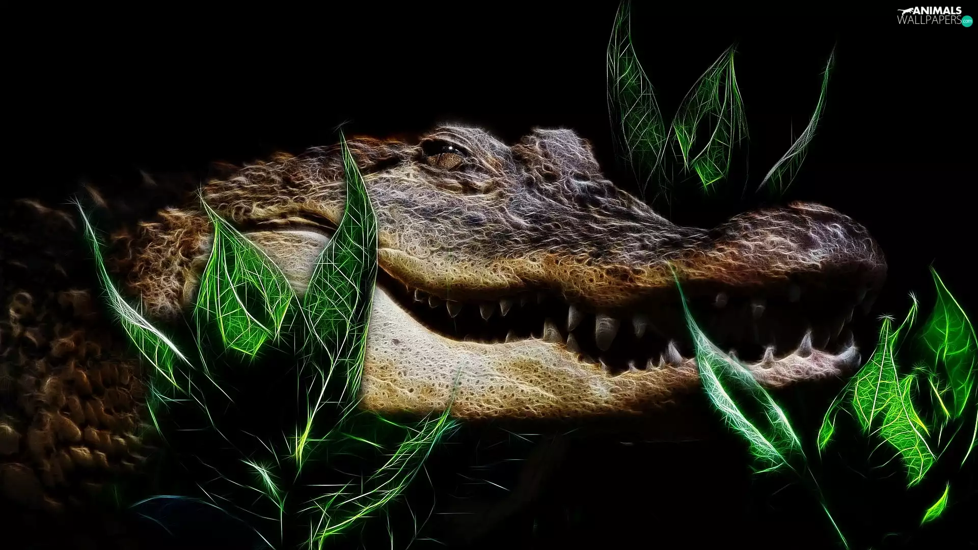 Leaf, Crocodile, background, Fractalius, Black, mouth