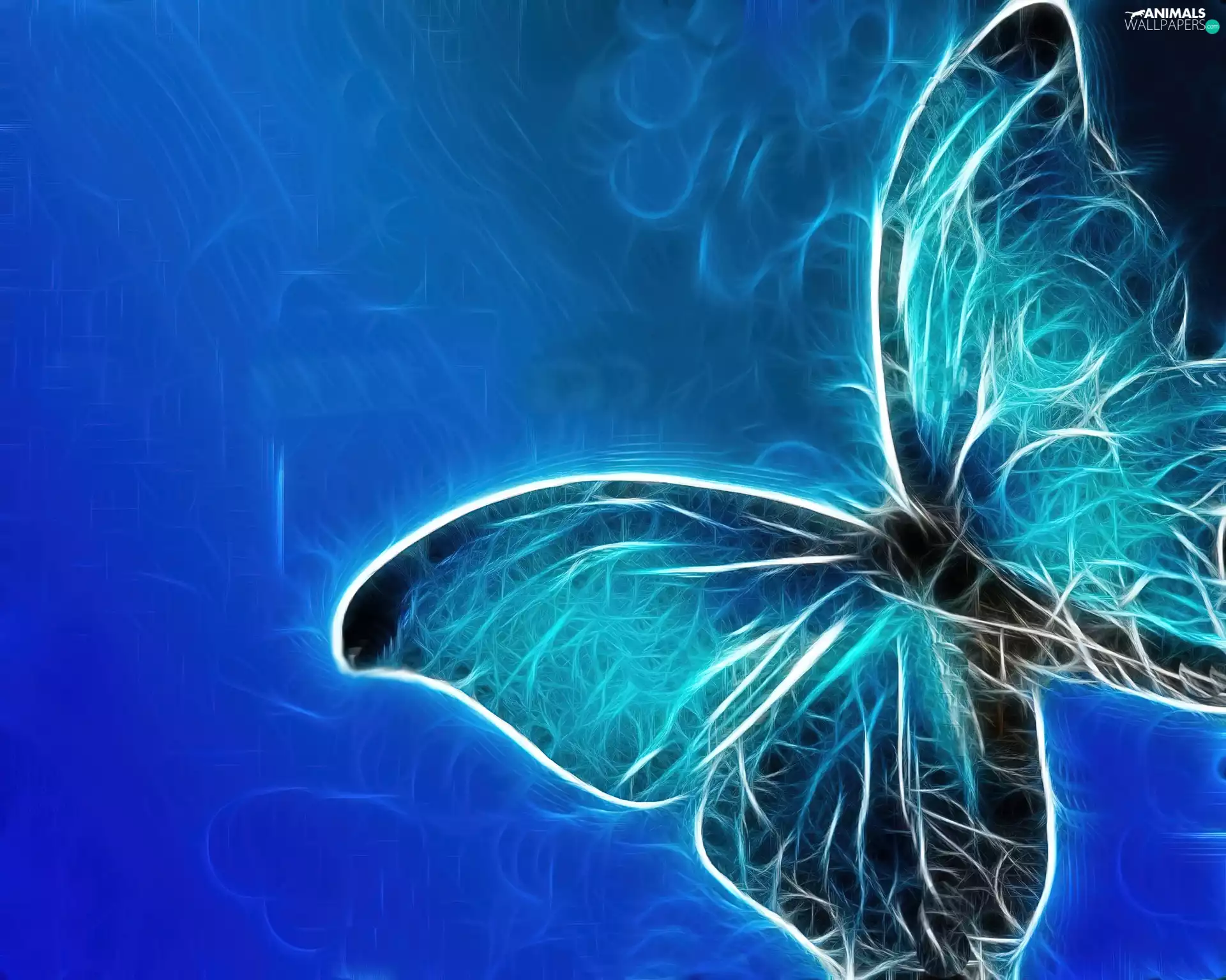 Fraktal, butterfly, blue