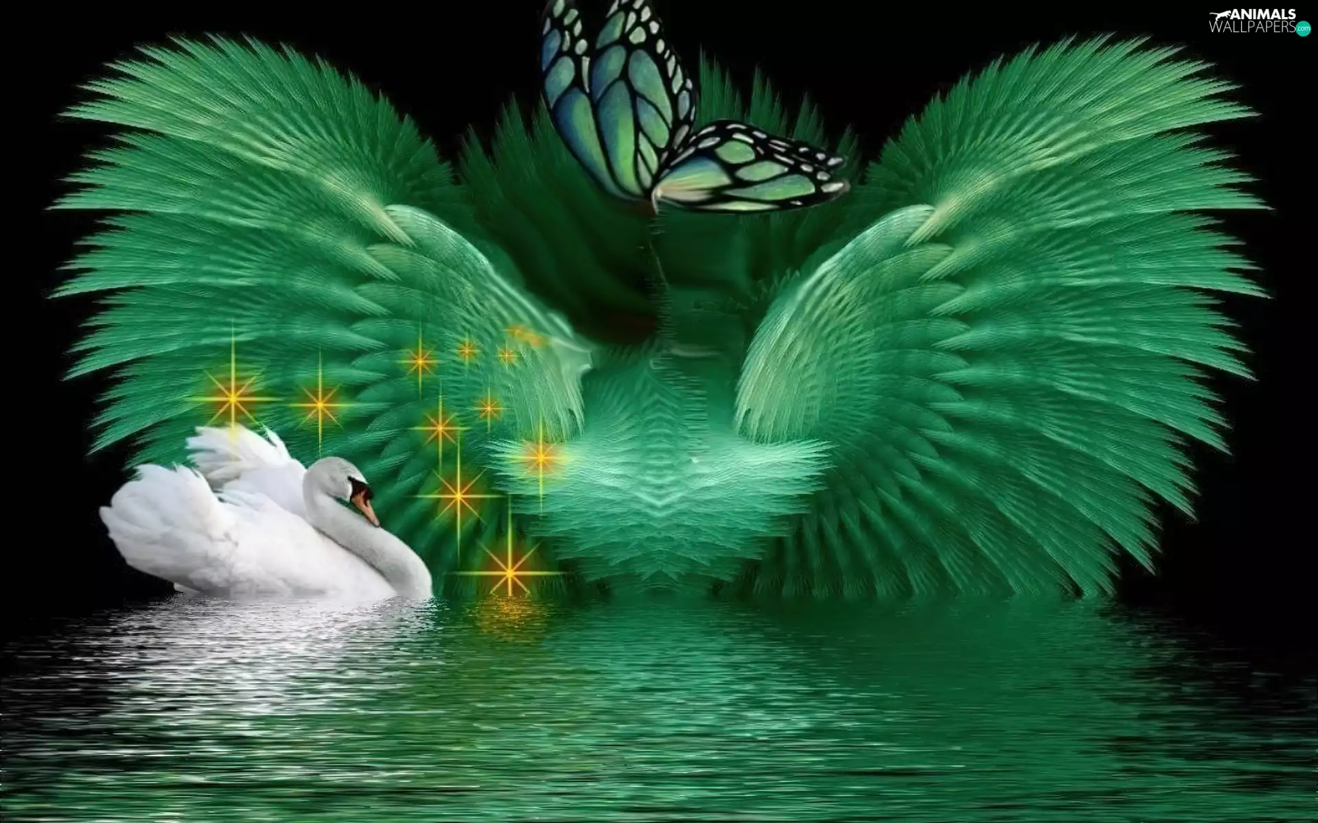 Fraktal, Swans, butterfly