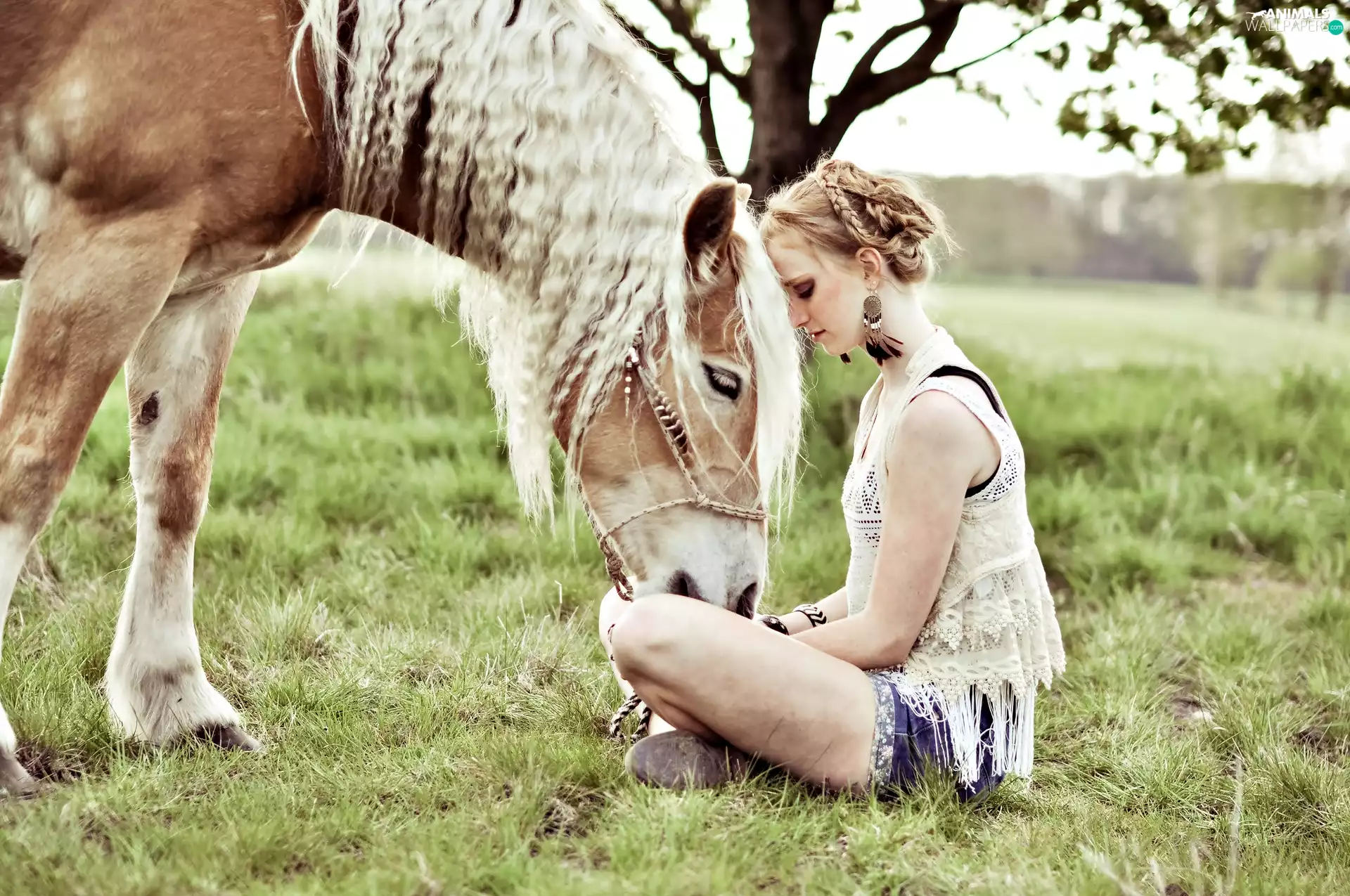 friendship, girl, Horse