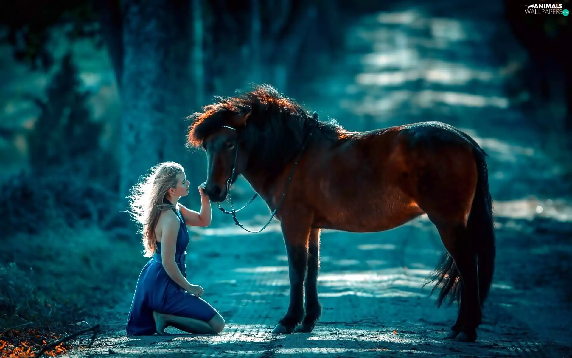 forest, friendship, Horse, Way, Women
