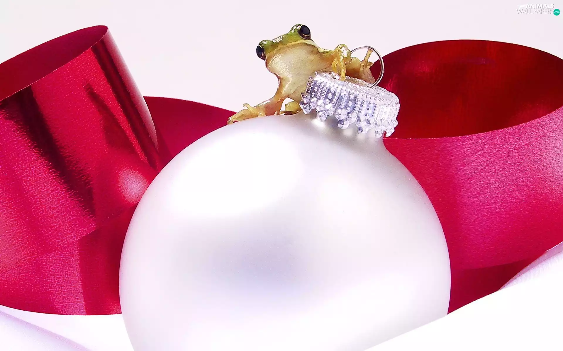 frog, bauble, Christmas
