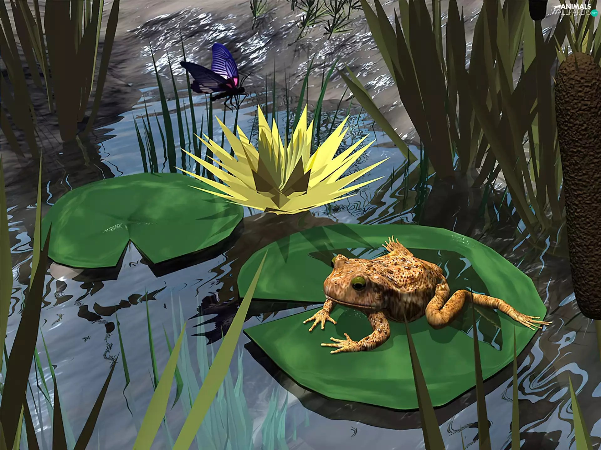 strange frog, Leaf, graphics, Lily