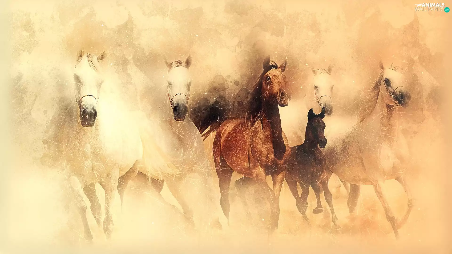 gallop, graphics, bloodstock