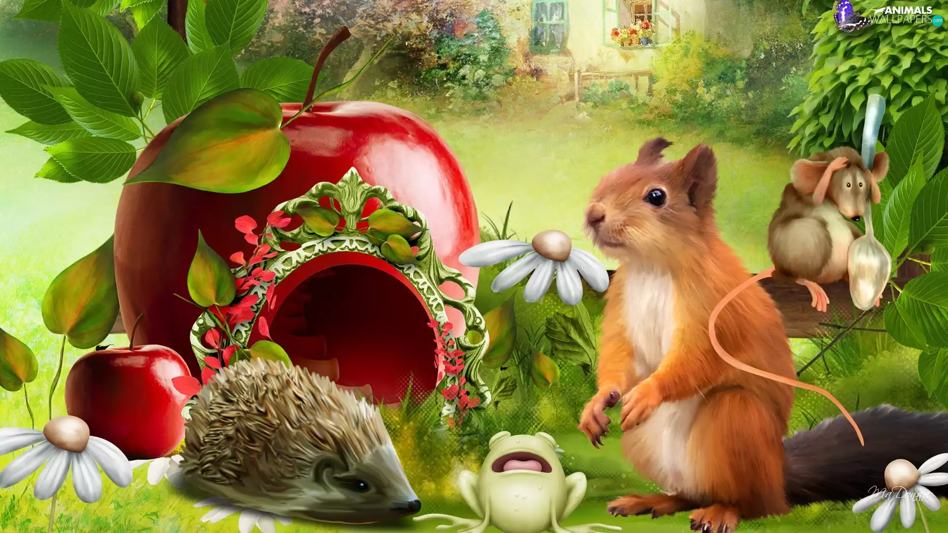 Garden, squirrel, hedgehog