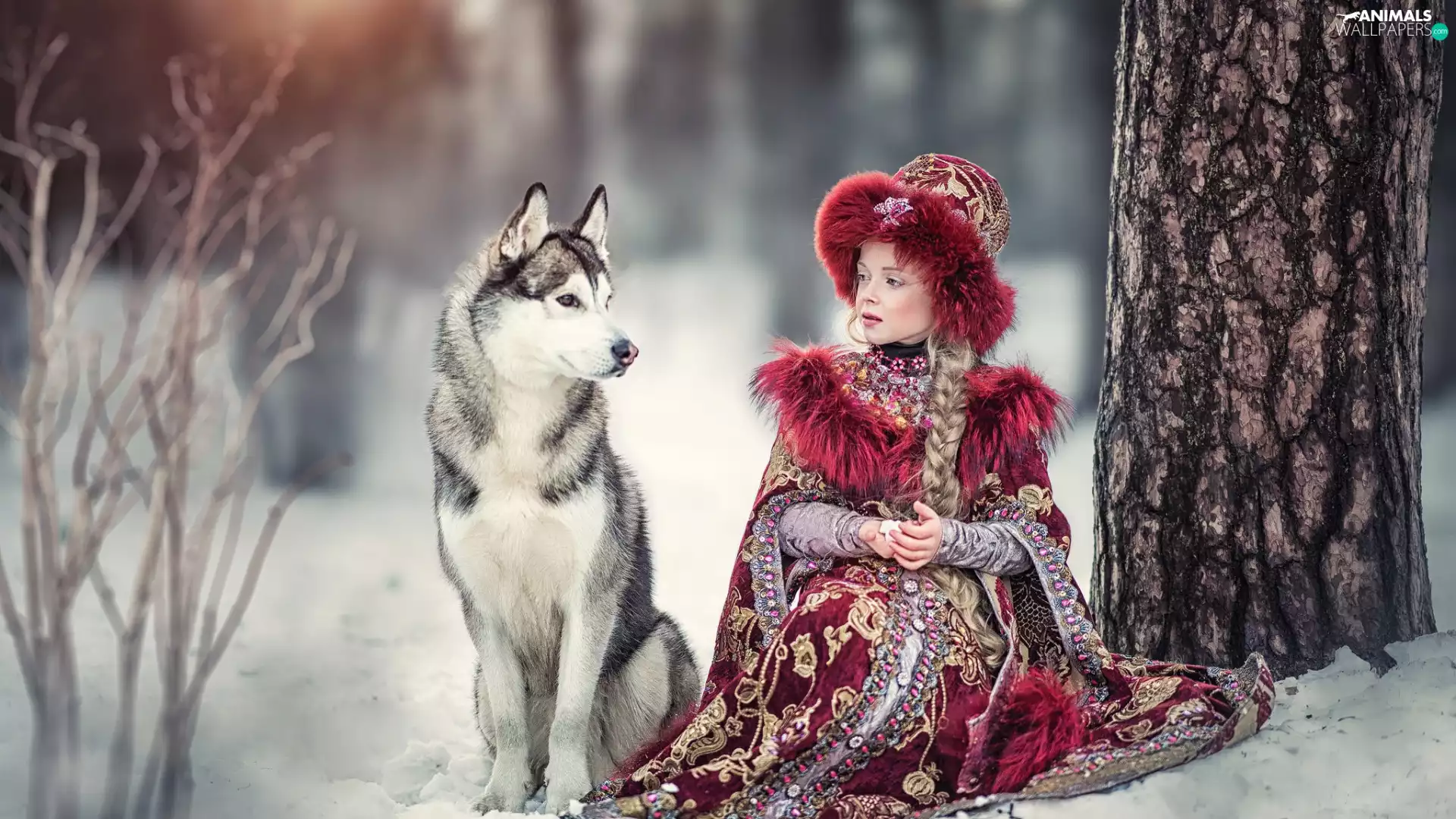 trees, Siberian Husky, girl, winter, dog
