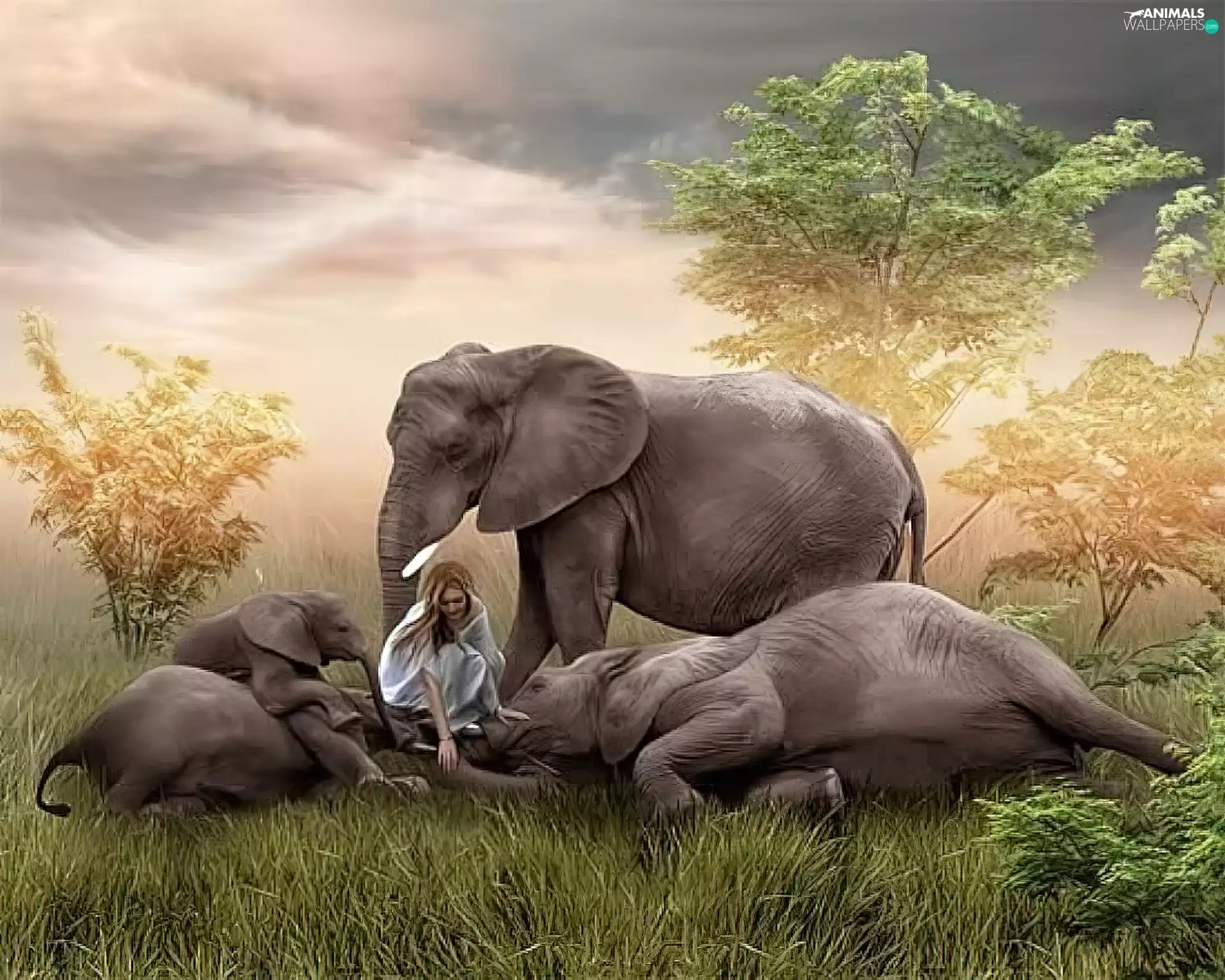 girl, Familia, elephants