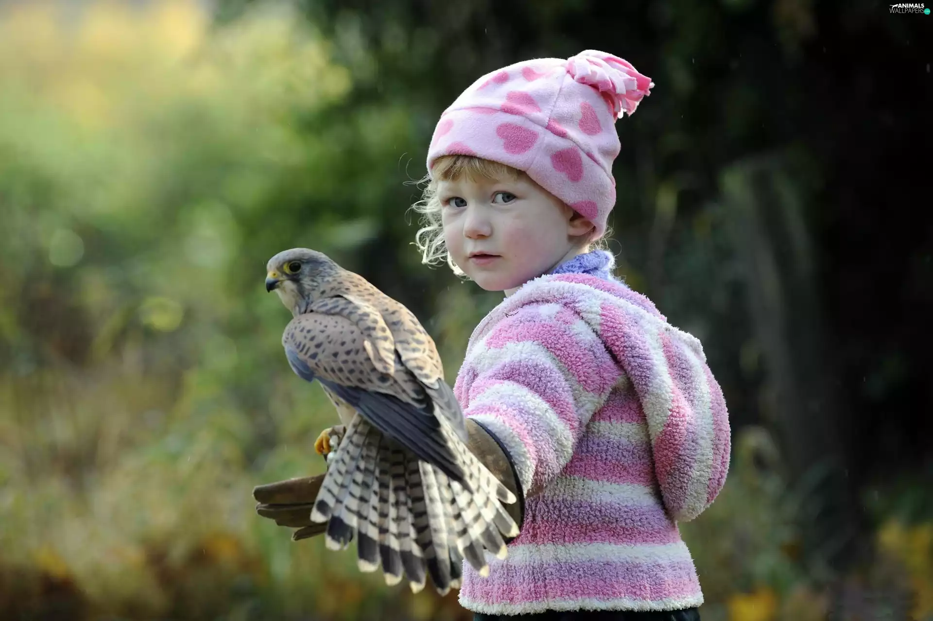 girl, falcon