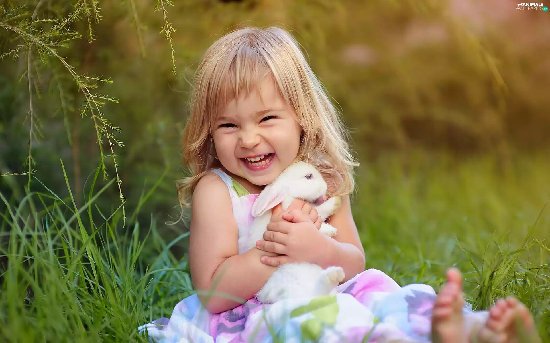 happy, Rabbit, Meadow, girl