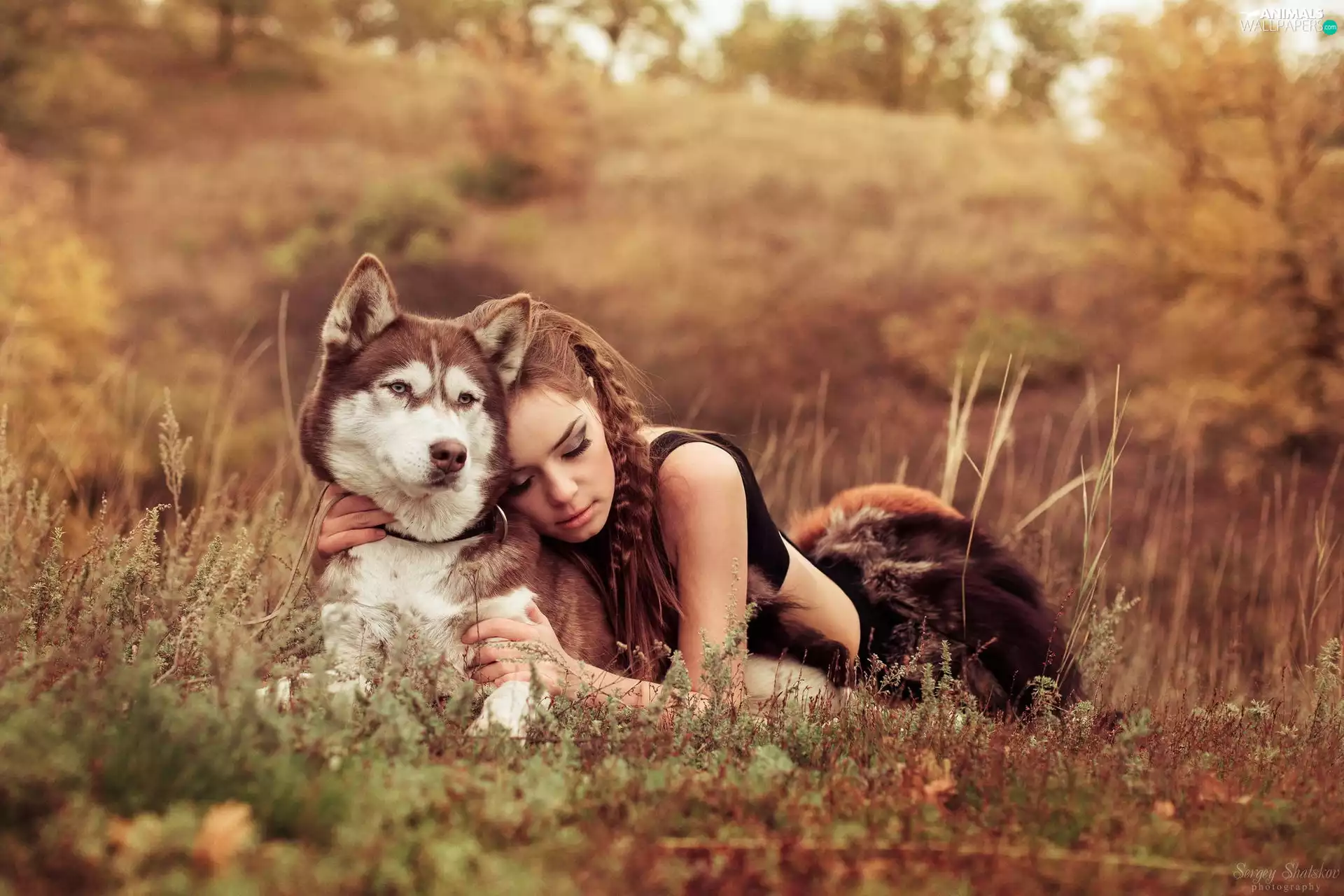 girl, Husky