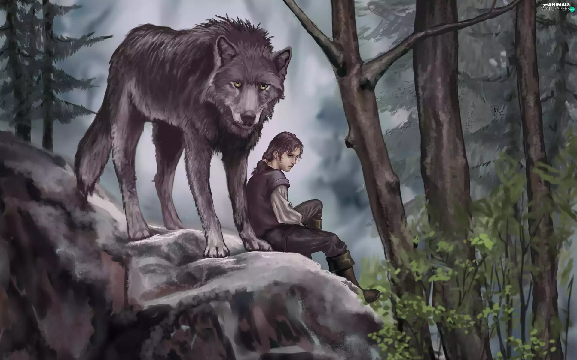 rocks, Wolf, graphics, girl