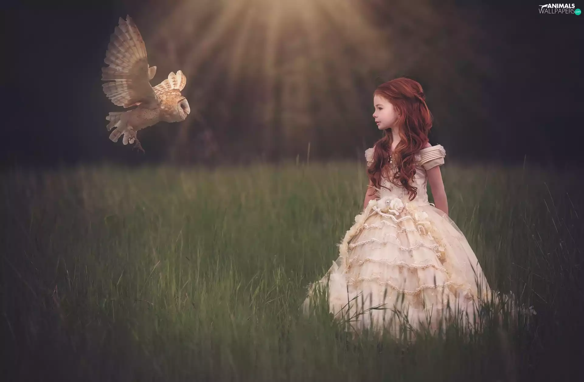 small, owl, Barn, girl