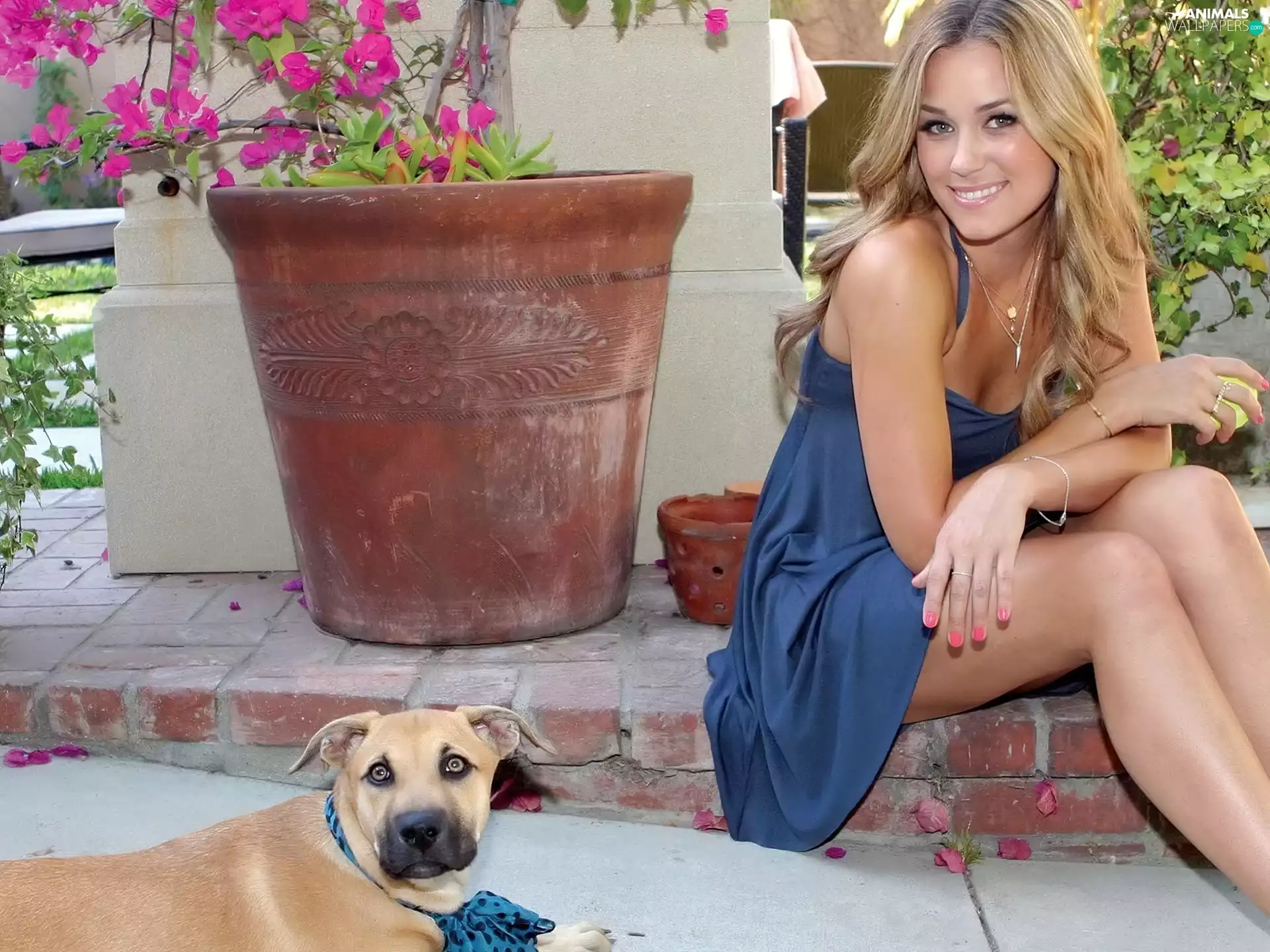 smiling, dog, pot, girl