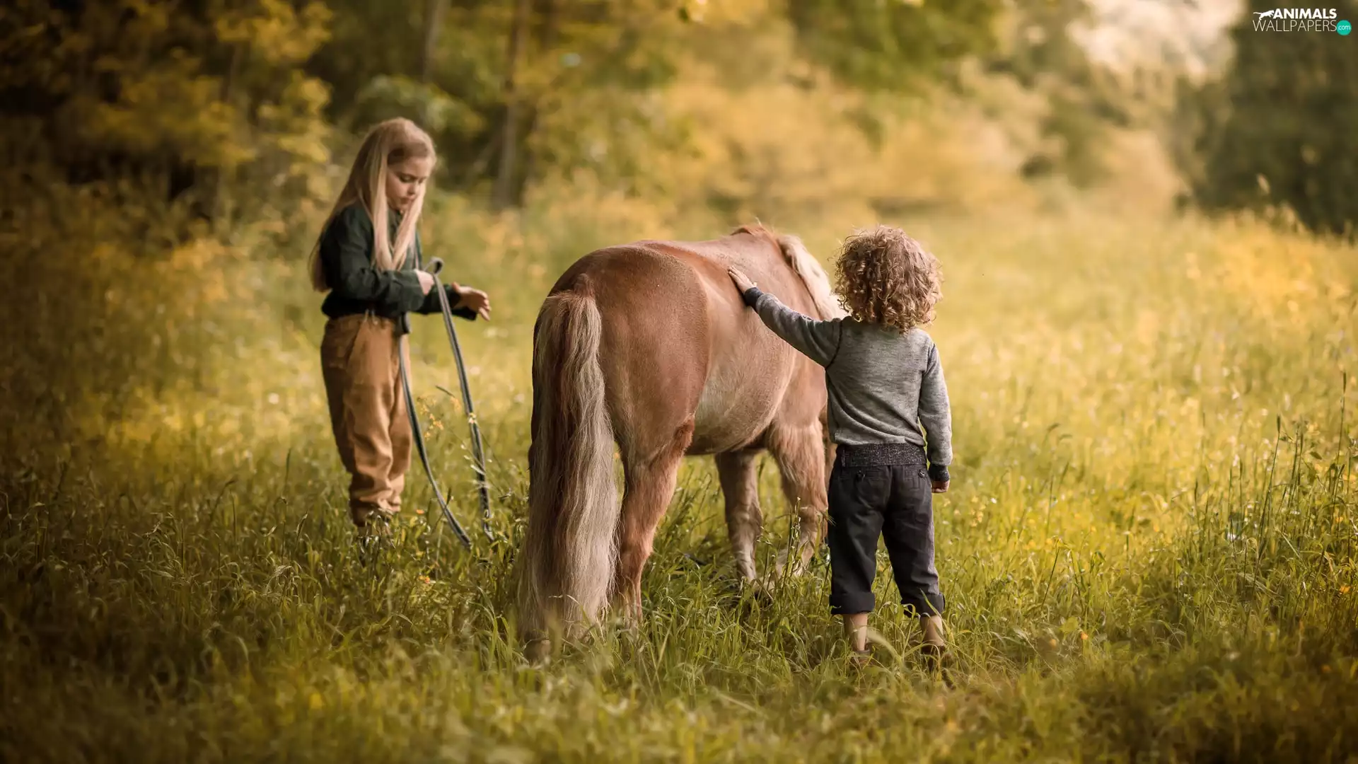 viewes, Kids, boy, girl, pony, trees