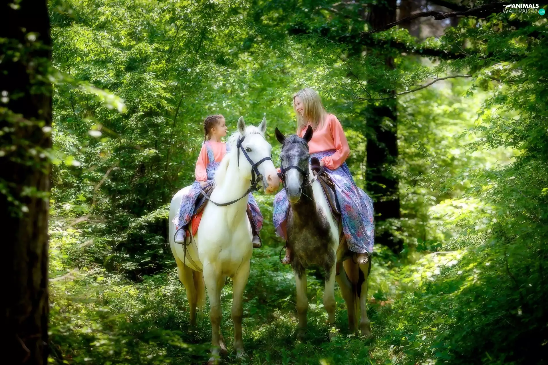 Women, bloodstock, forest, girl