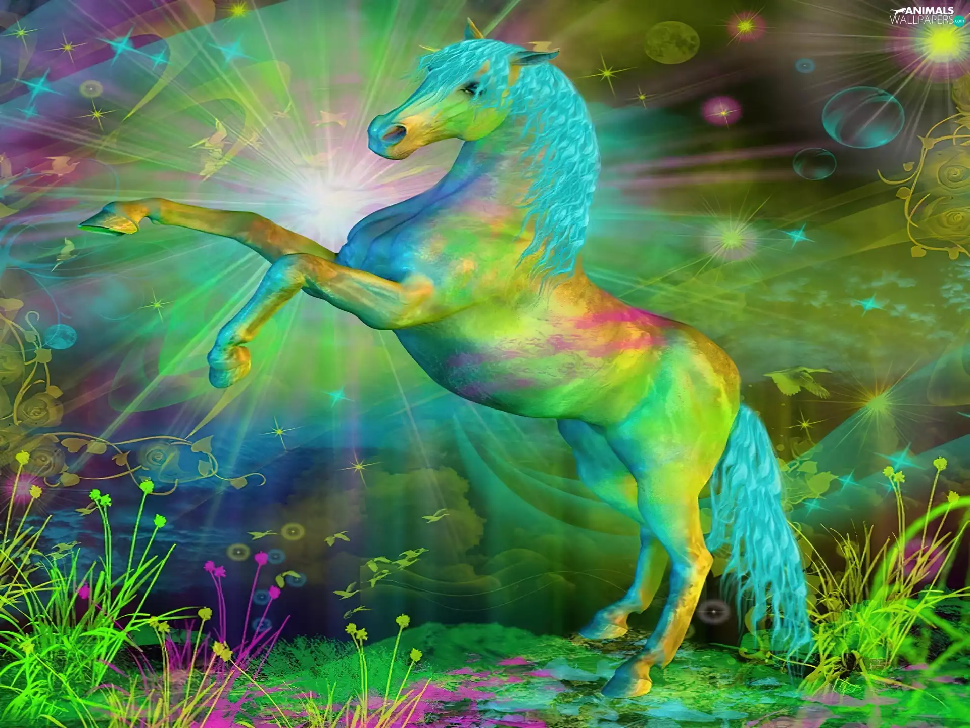 glamour, color, Horse