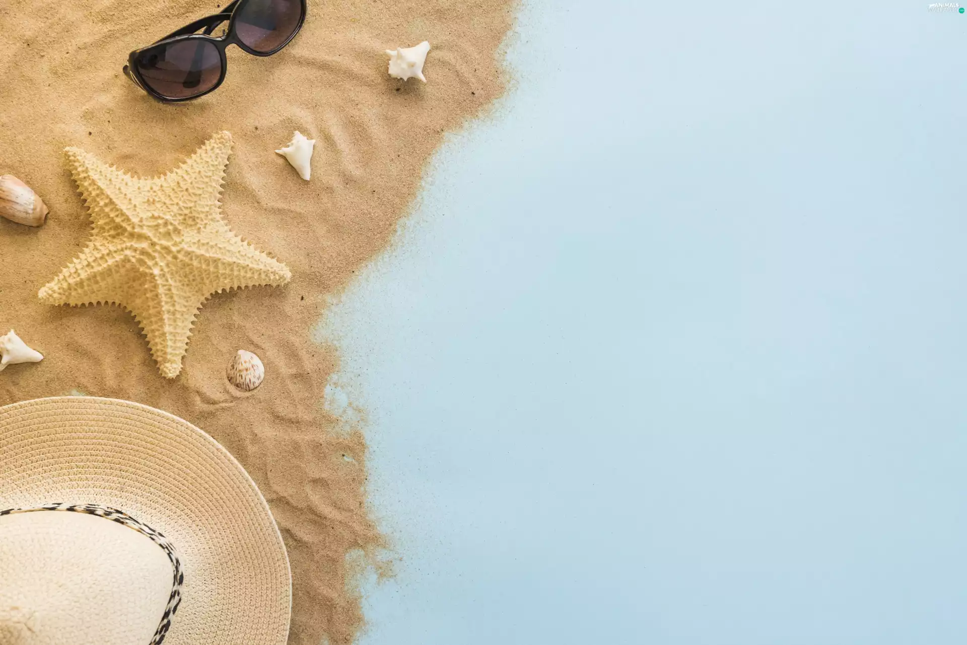 Shells, Hat, background, Glasses, holiday, starfish, Blue