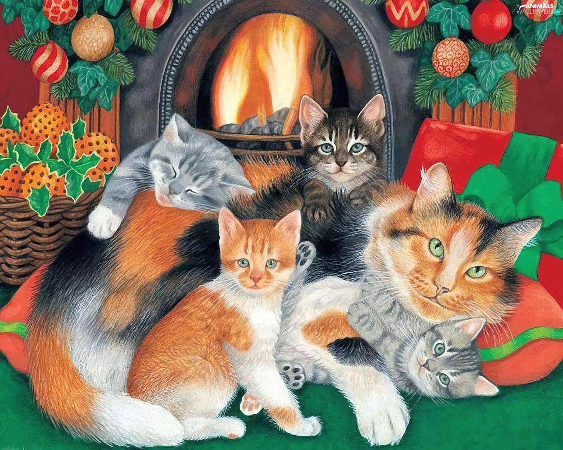 cats, God, birth, burner chimney