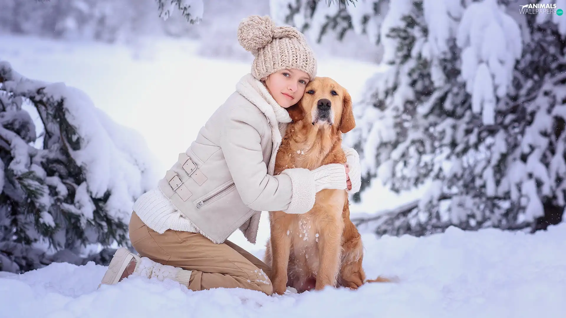 Golden Retriever, snow, viewes, winter, trees, dog, girl, Snowy